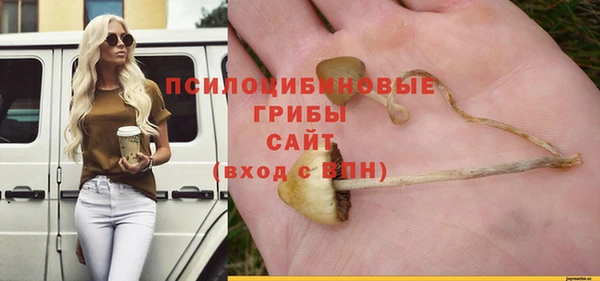 меф Зеленодольск