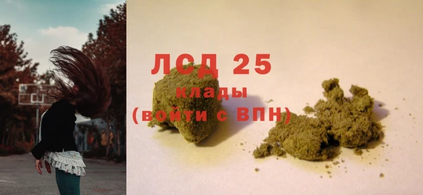 прущие грибы Зеленокумск