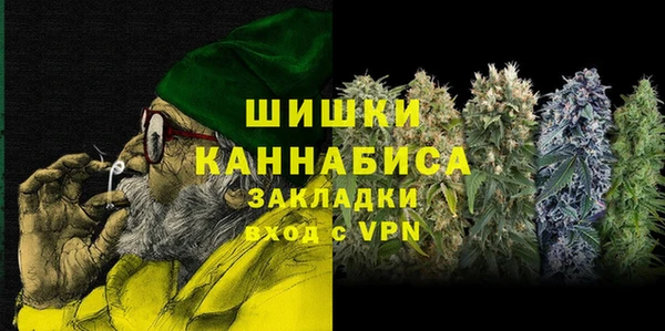 прущие грибы Зеленокумск