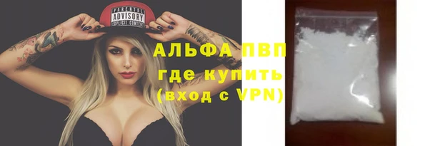 прущие грибы Зеленокумск