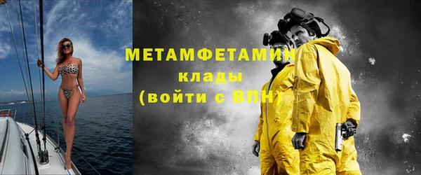 прущие грибы Зеленокумск