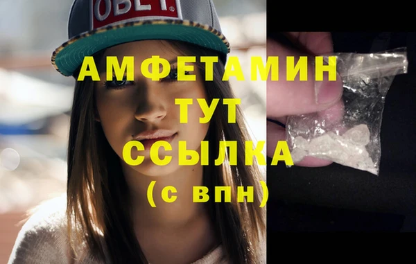 прущие грибы Зеленокумск